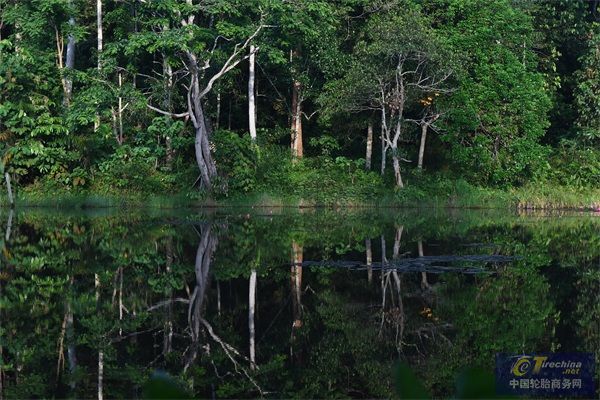 哈拉潘森林大本營附近湖景（圖片來源哈拉潘森林Aulia Erlangga）.jpg