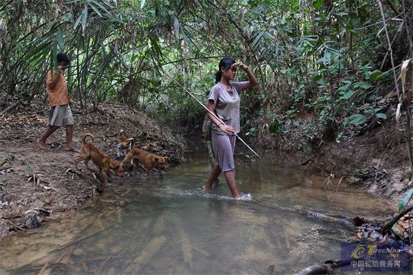 流浪的Batin Sembilan部落家庭在Meranti和附近捕獵（圖片來源哈拉潘森林Aulia Erlangga）.jpg