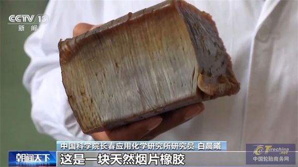 央視06.jpg