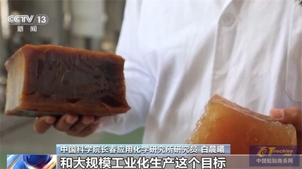 央視07.jpg